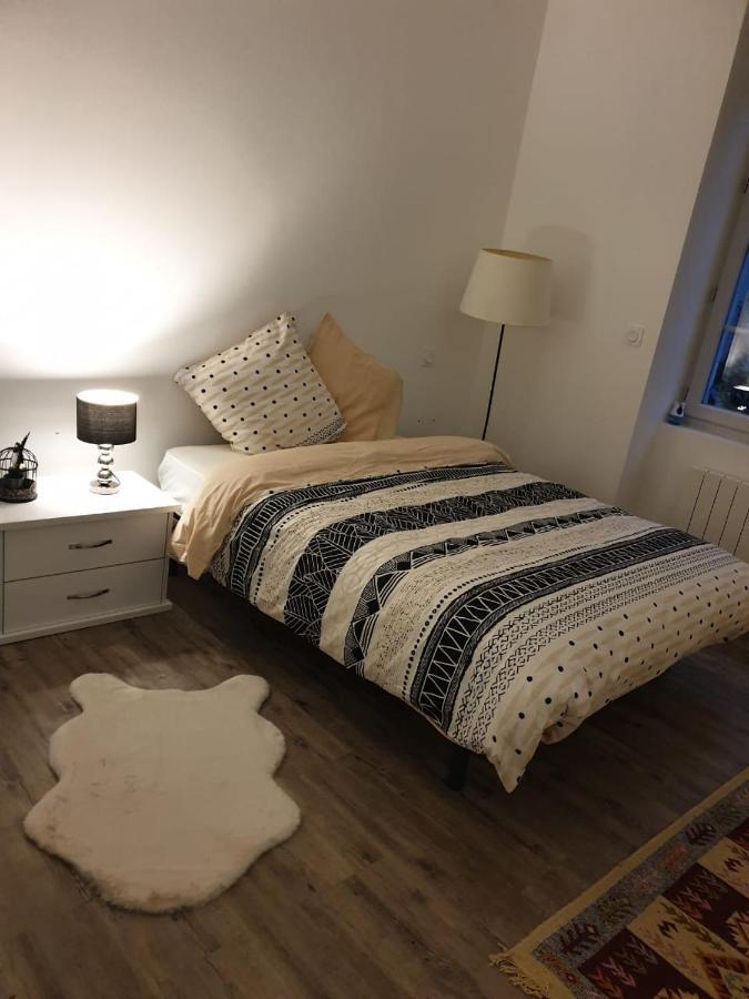 Appartement Cosy Et Chaleureux Lons-le-Saunier Dış mekan fotoğraf